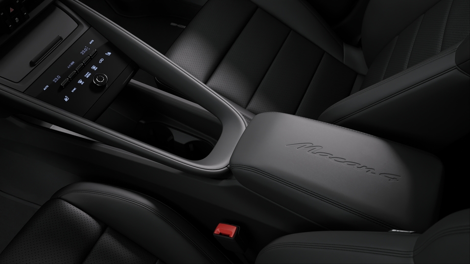 Model Logo embossed on Centre Console Armrests